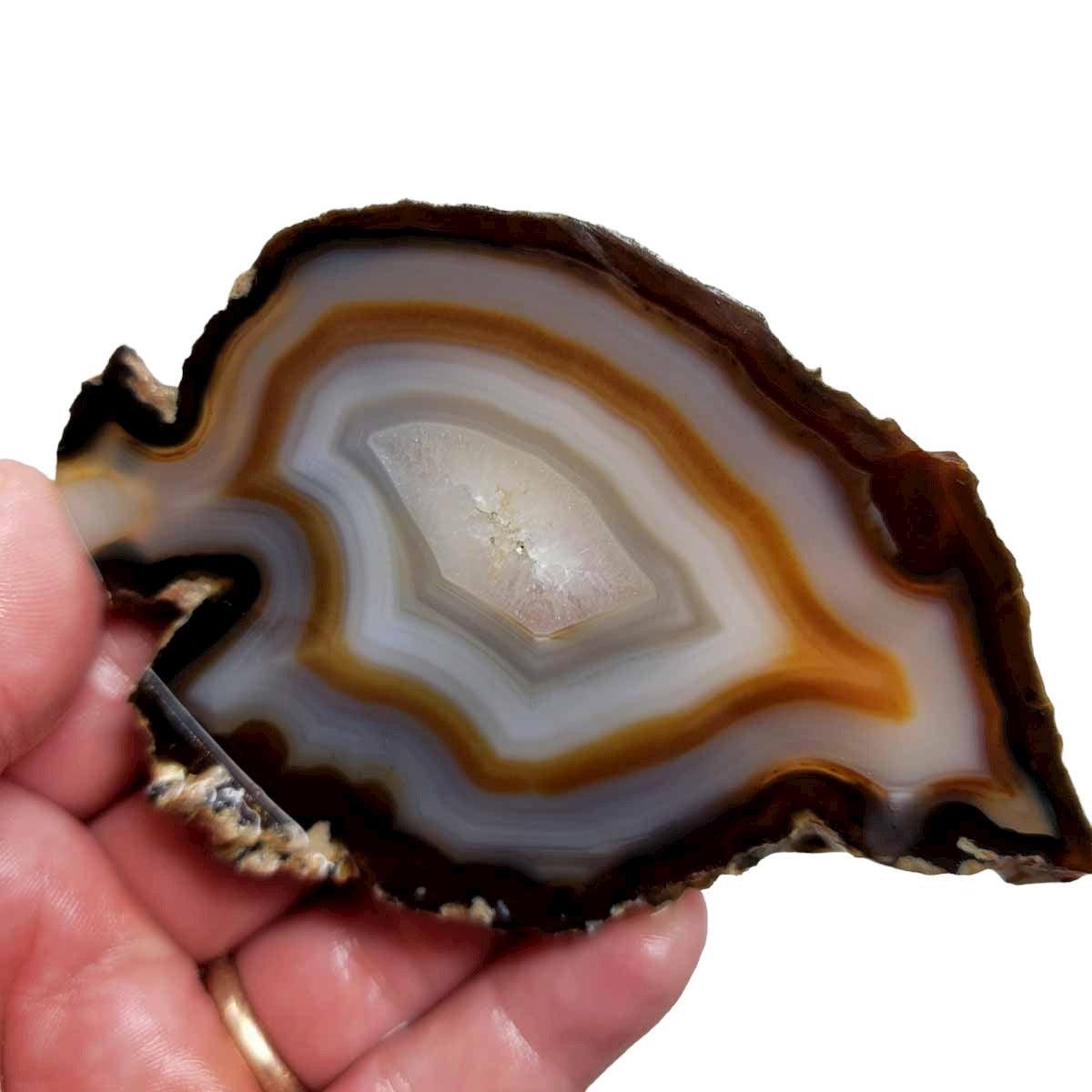 Brazilian Agate Slab! Lapidary Stone Slab! - LapidaryCentral