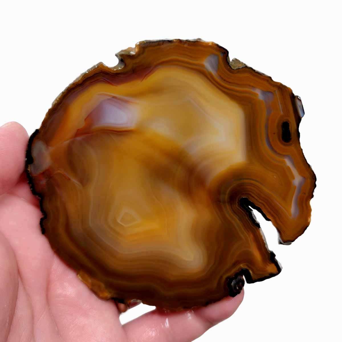 Brazilian Agate Slab! Lapidary Stone Slab! - LapidaryCentral