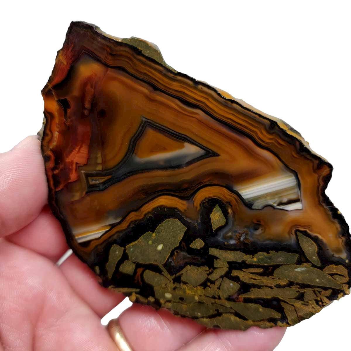 Piranha Brazilian Agate Slab! Lapidary Stone Slab! - LapidaryCentral