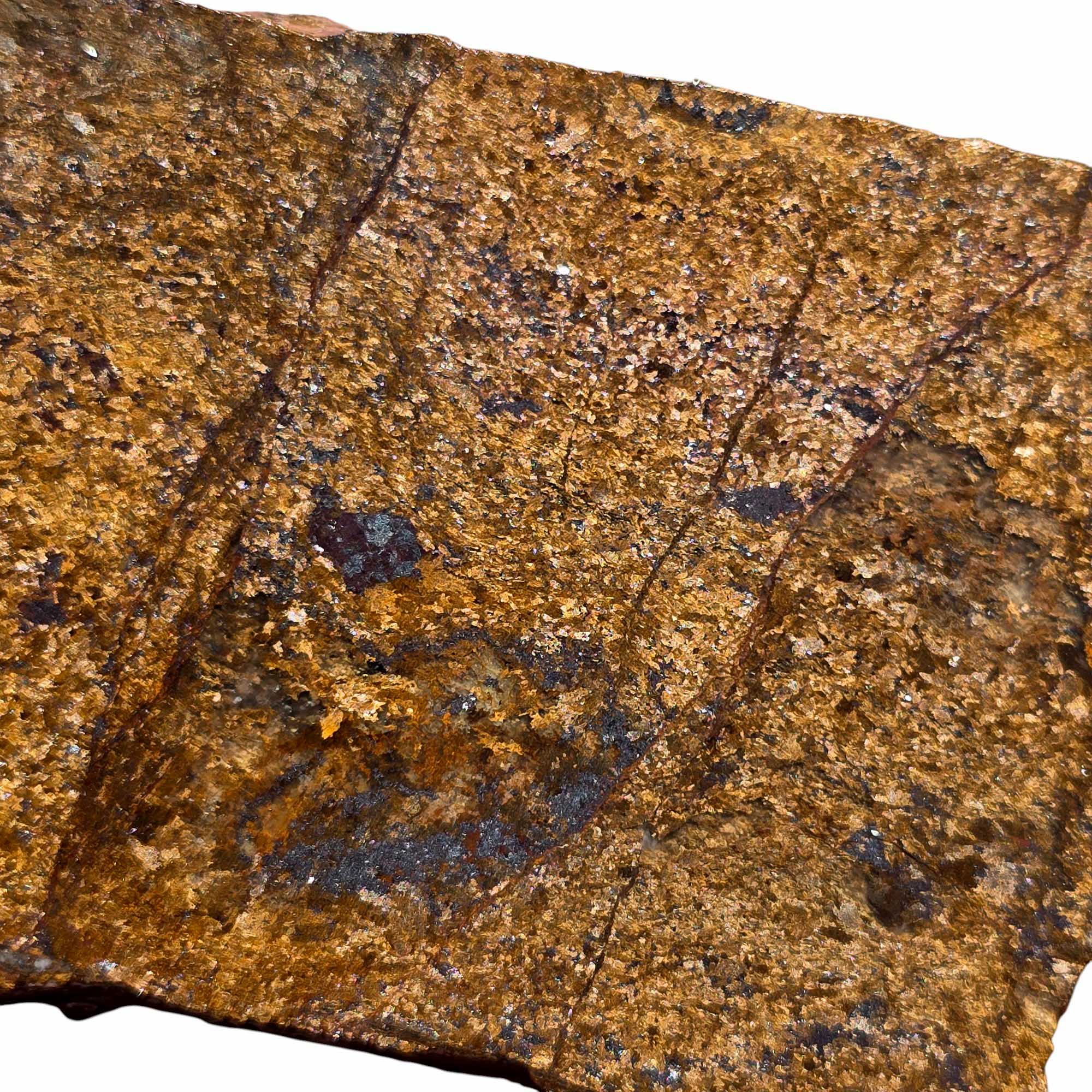 Bronzite Slab with Full Schiller Flash – 4.2" Lapidary Cut