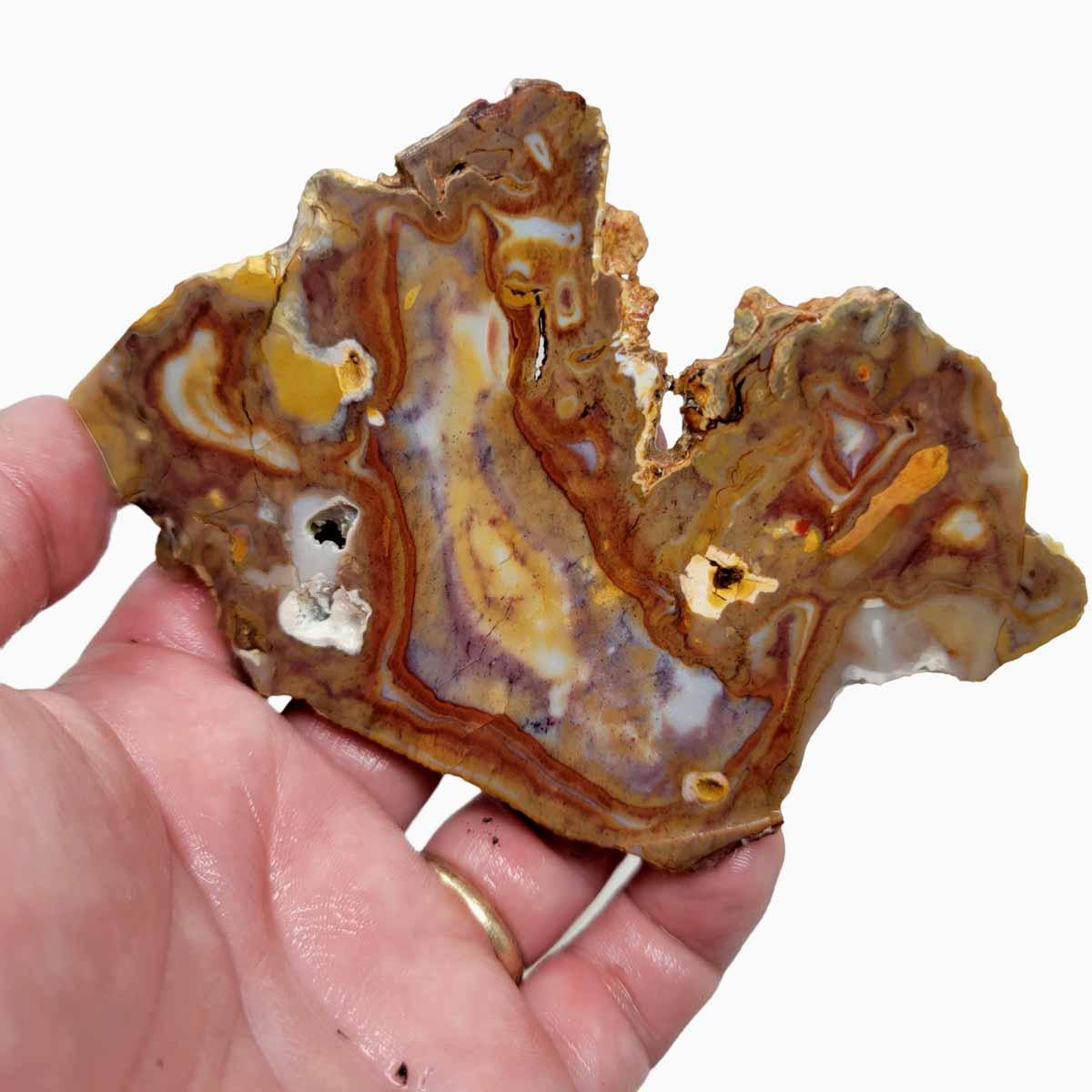 Rooster Tail Jasper Slab! Lapidary Stone Slab! - LapidaryCentral