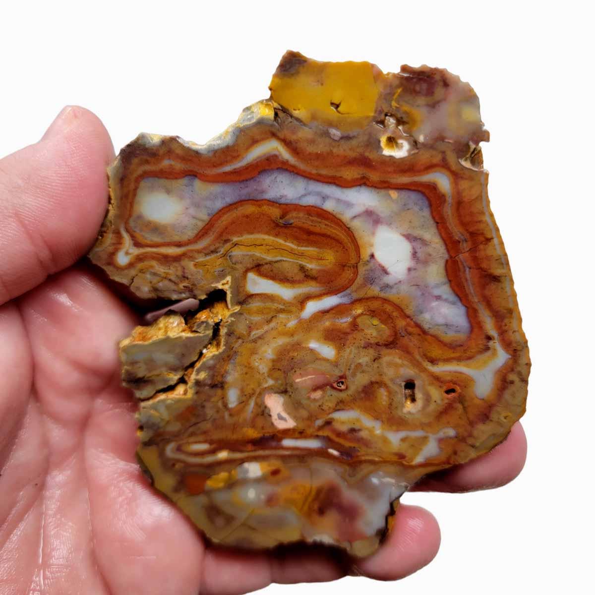 Rooster Tail Jasper Slab! Lapidary Stone Slab! - LapidaryCentral