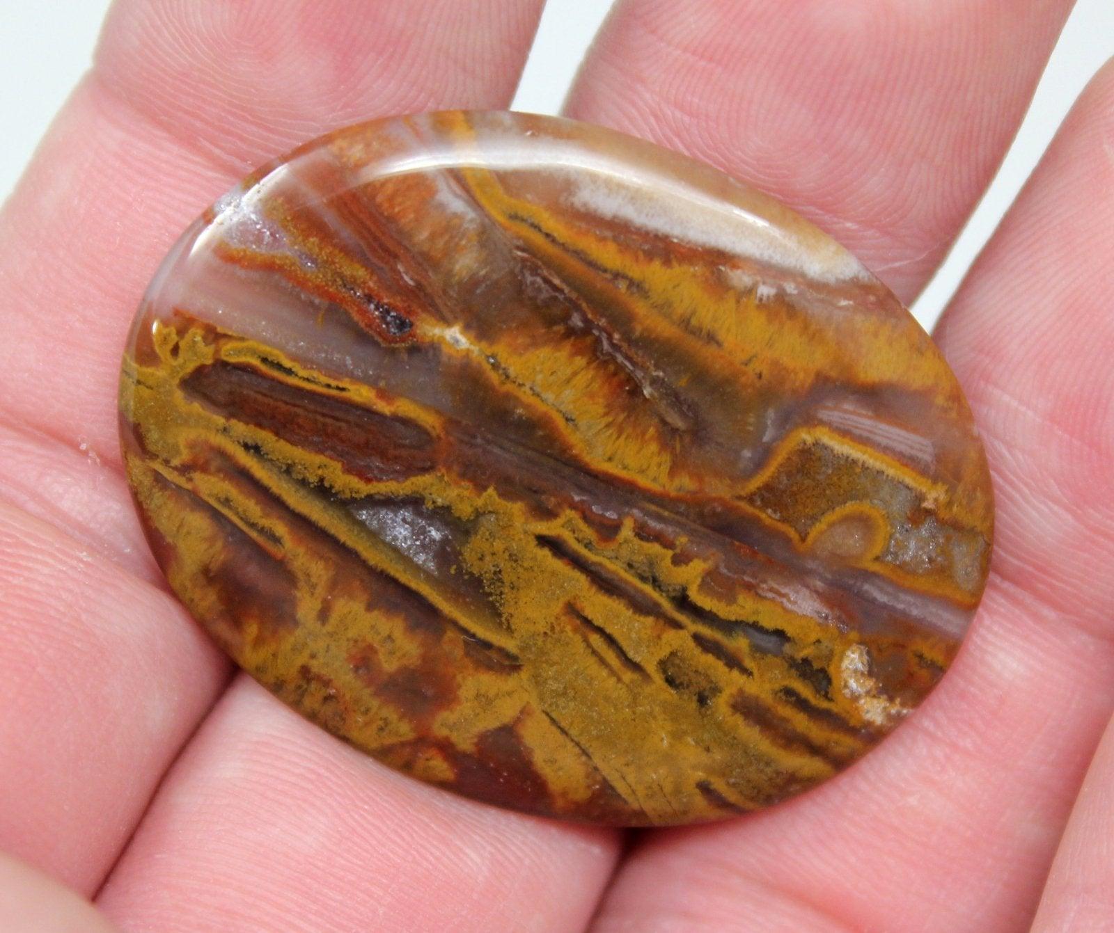 Indonesian Ocean Jasper Fossil Palm Root Cabochon!