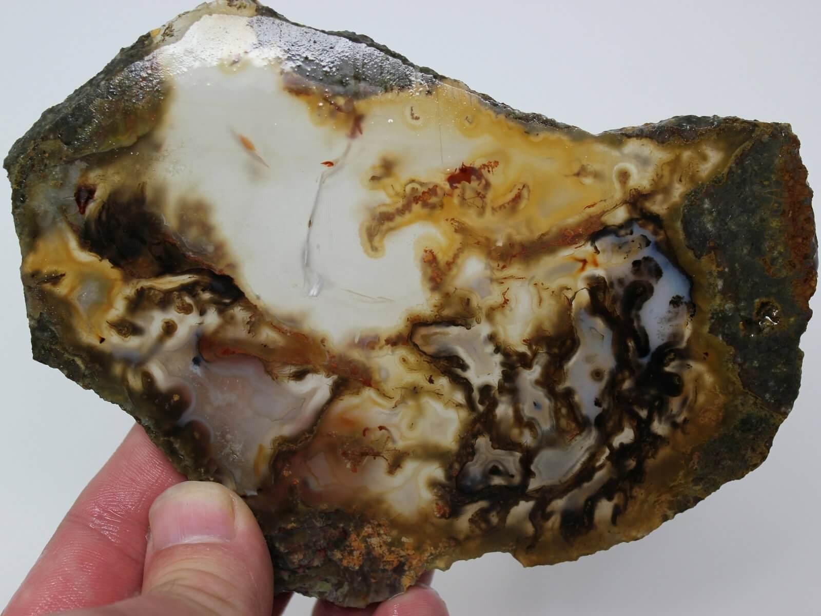 Lucky Strike Thunderegg Slab! Lapidary Stone Slab!