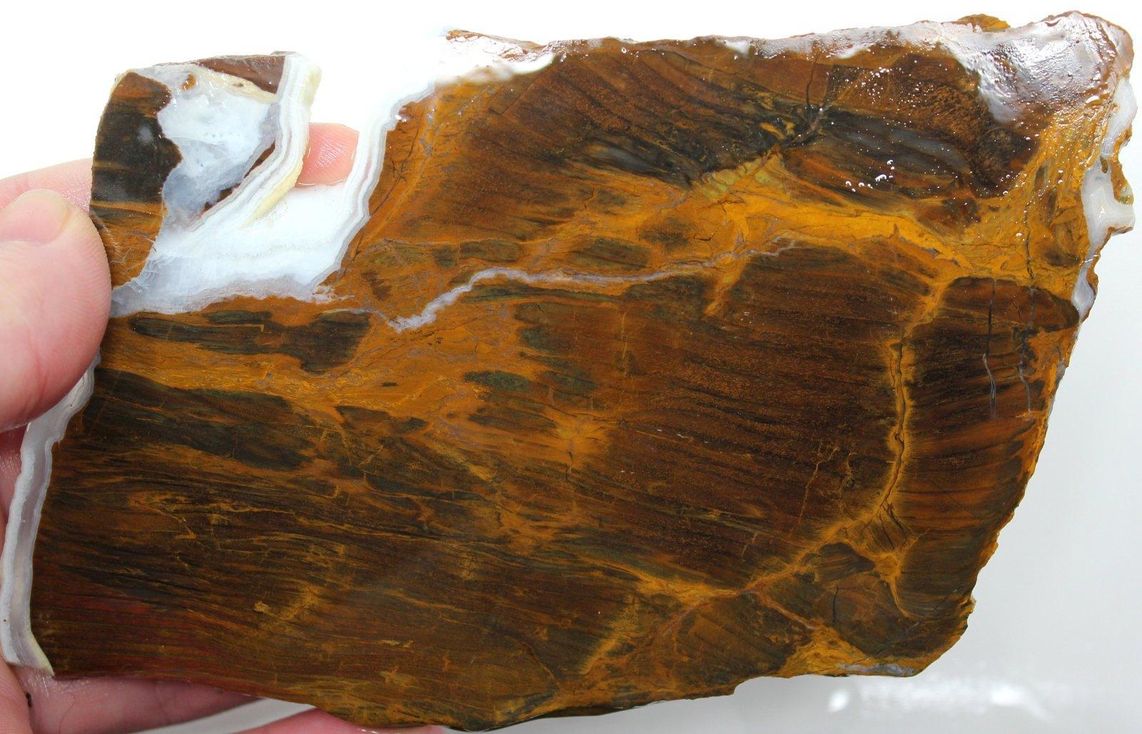 LARGE Mystery Estate Petrified Wood Slab! STUNNING!!!!