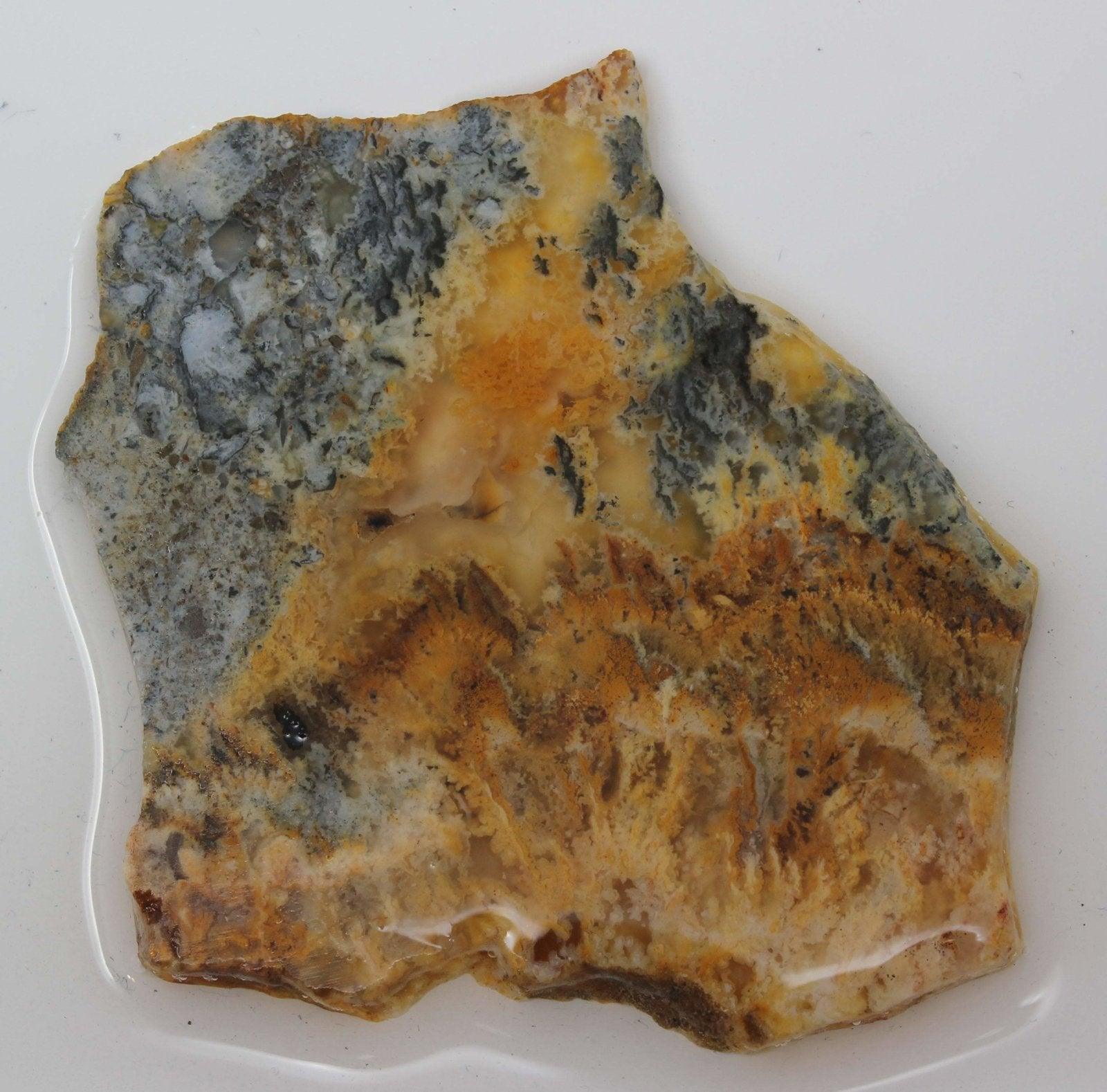 Graveyard point plume agate slab!