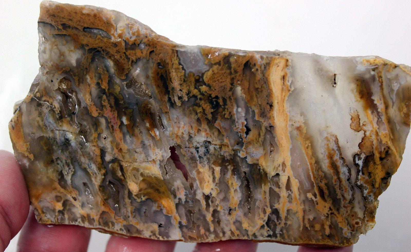 Graveyard Point Plume Agate Slab! Lapidary Stone Slab!