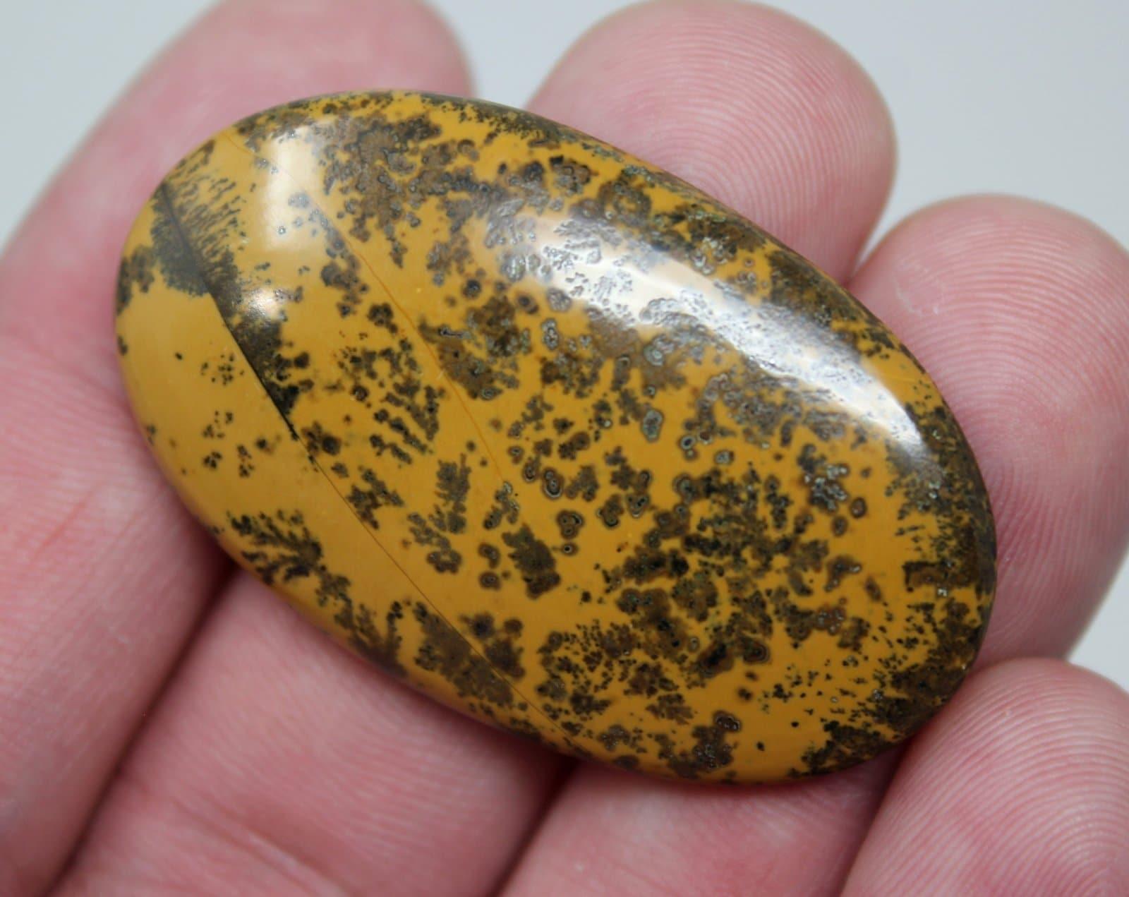Flower Dendritic Jasper Cabochon! Lapidary Stone Cab!