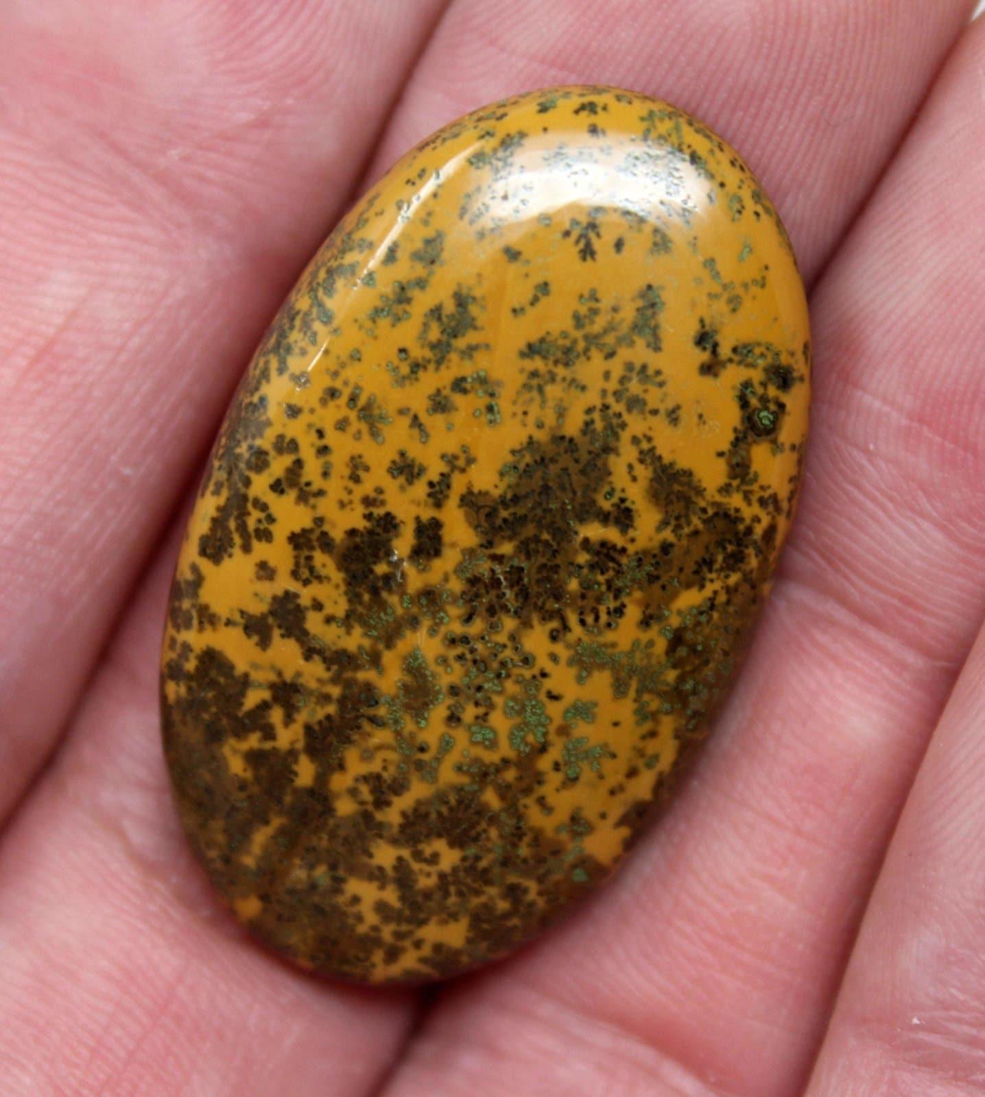 Flower Dendritic Jasper Cabochon! Lapidary Stone Cab!