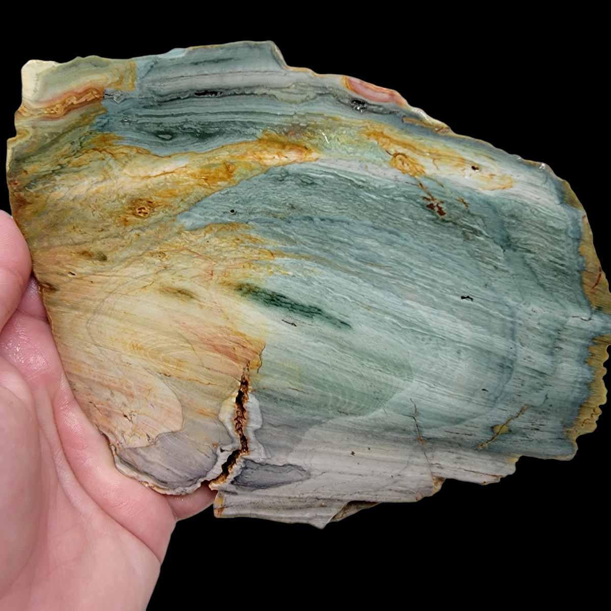 Ellipso Gary Green Larsonite Freedom Jasper Slab! Lapidary Stone Slab!