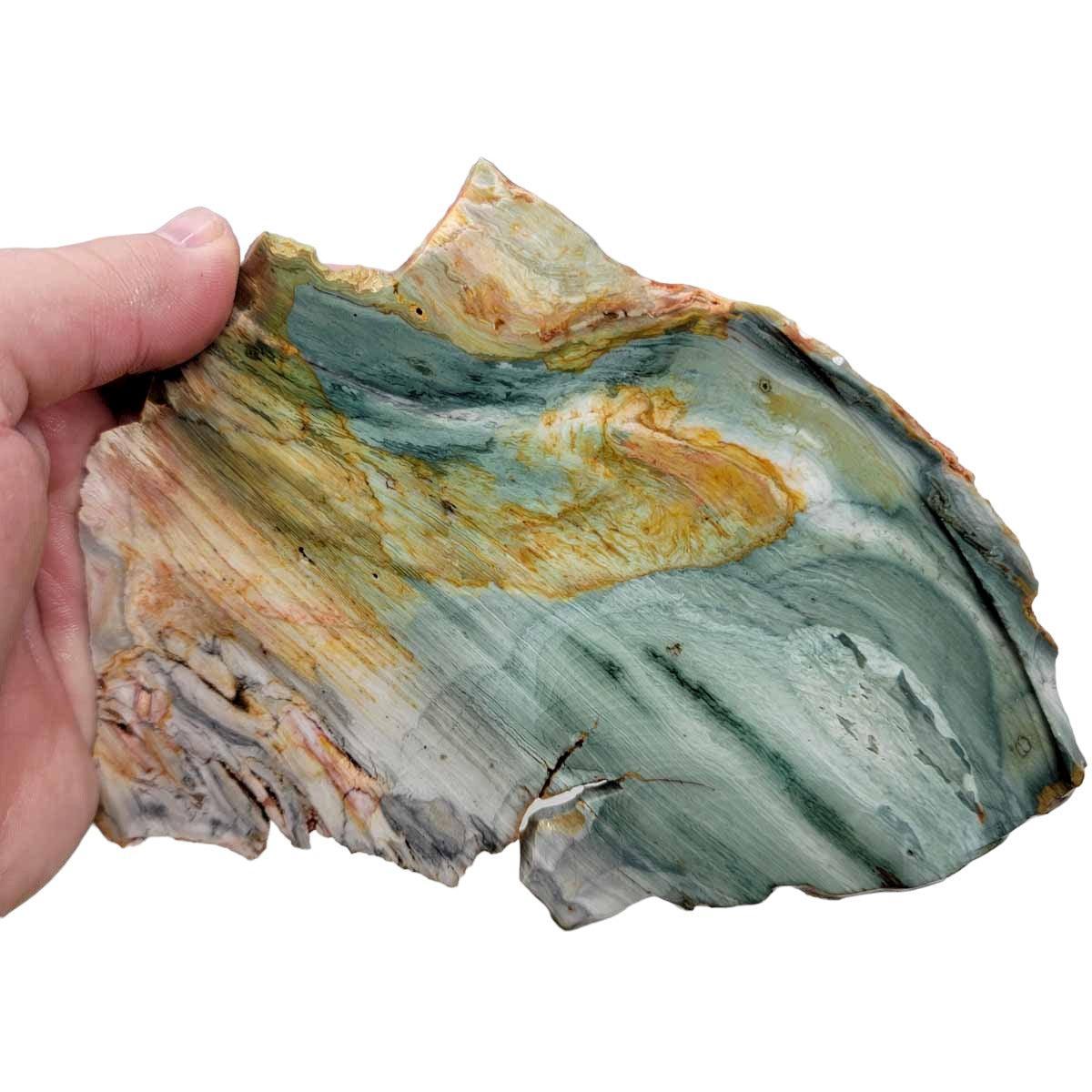 Ellipso Gary Green Larsonite Freedom Jasper Slab! Lapidary Stone Slab! - LapidaryCentral