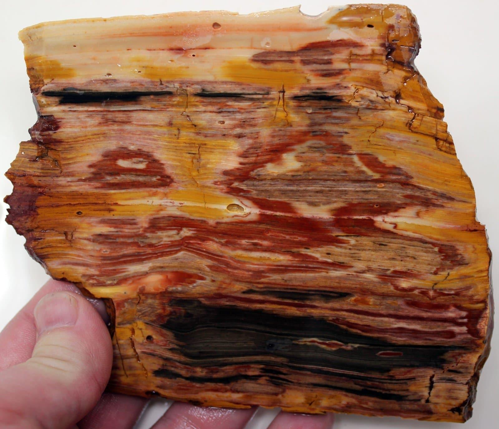 Caldera Freedom Jasper Red Gary Green Larsonite Jasper Slab! - LapidaryCentral
