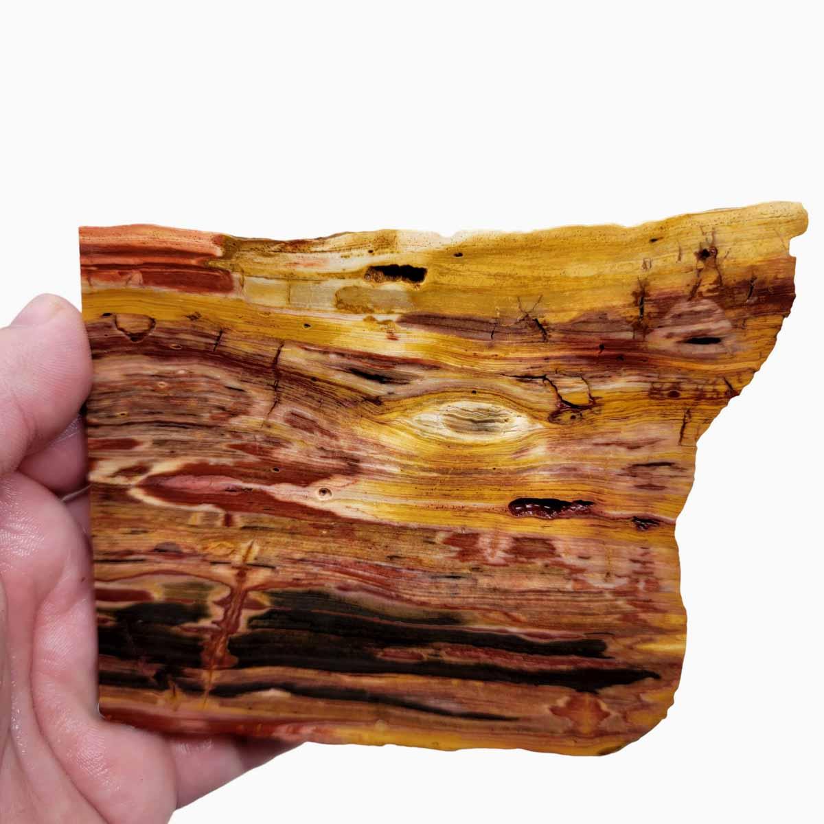 Caldera Freedom Jasper Red Gary Green Larsonite Jasper Slab! - LapidaryCentral