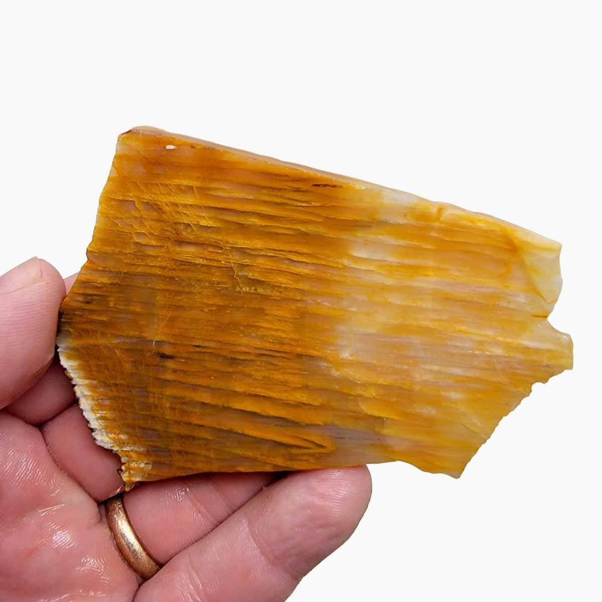 Calico Splatted Oak Opalized Wood Slab – Rare Washington Material! #2998-Photo1