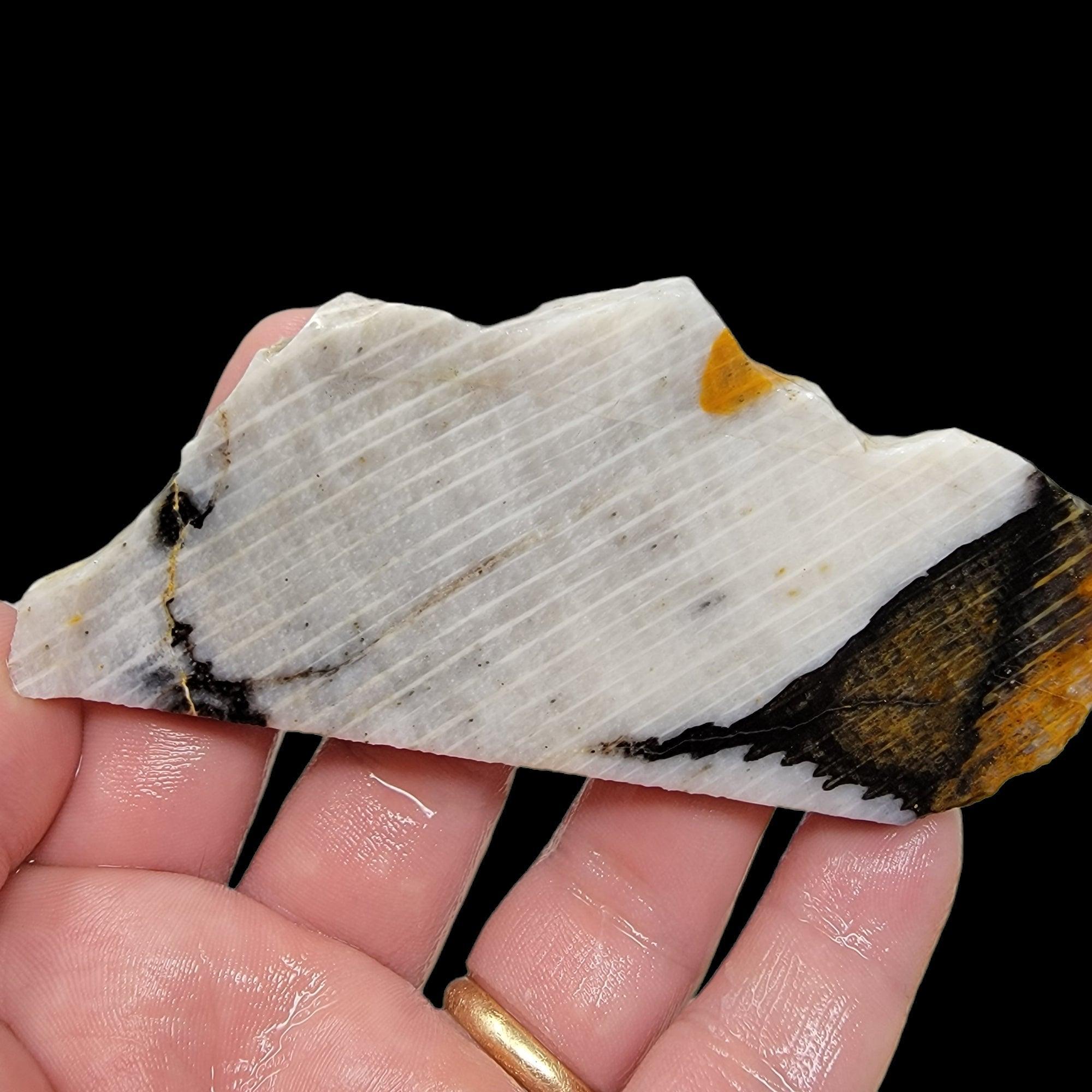 Calico Splatted Oak Opalized Wood Slab – Rare Washington Petrified! #2380-Photo1