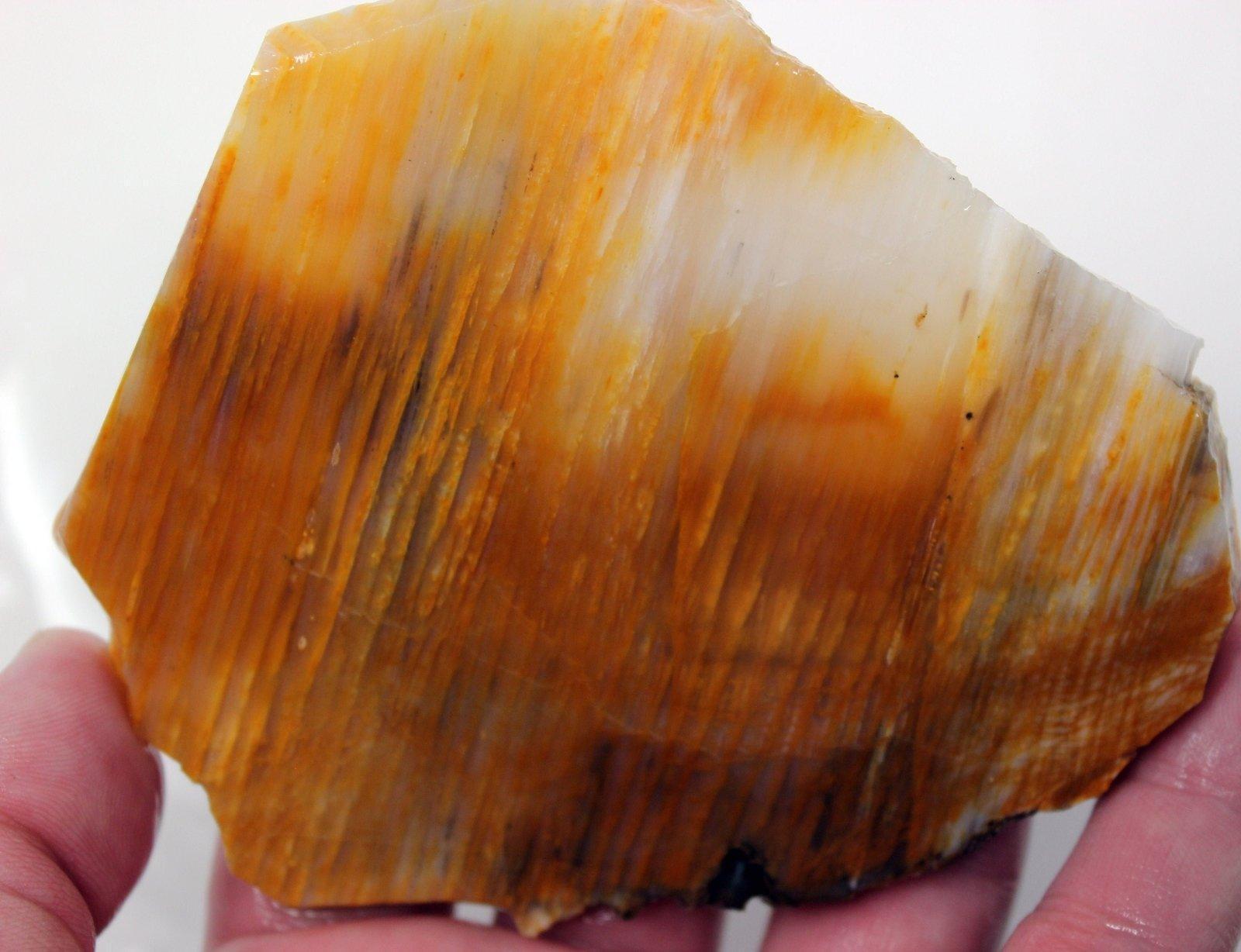 Old Stock Calico Splatted Oak Opalized Wood Slab! - LapidaryCentral