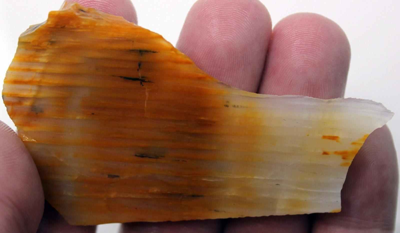 Old Stock Calico Splatted Oak Opalized Wood Slab! - LapidaryCentral