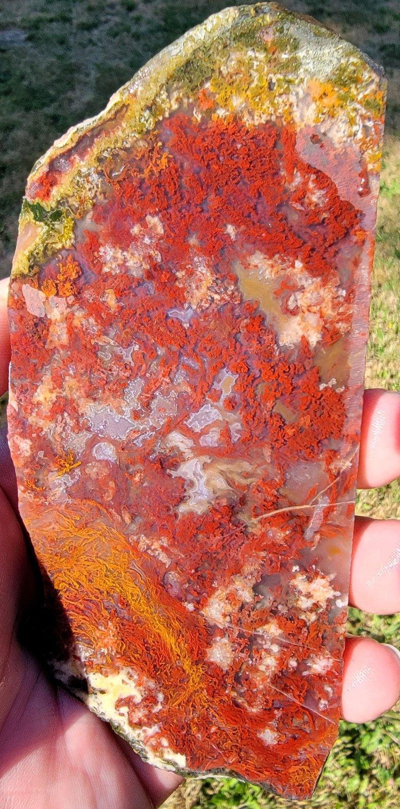 Old Stock Carey Plume Agate Slab! Lapidary Stone Slab! - LapidaryCentral