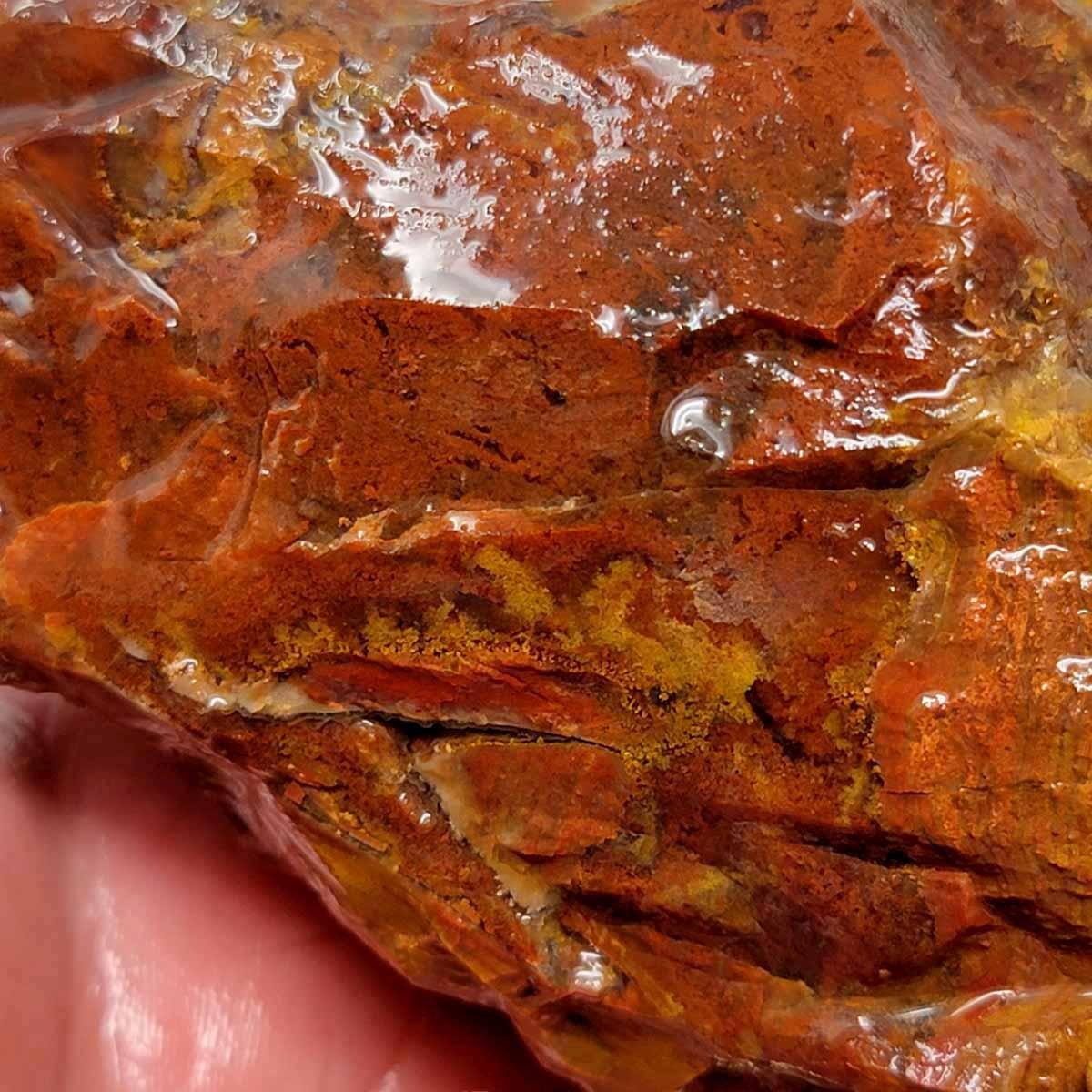 Old Stock Carey Plume Agate Rough Chunk! - LapidaryCentral