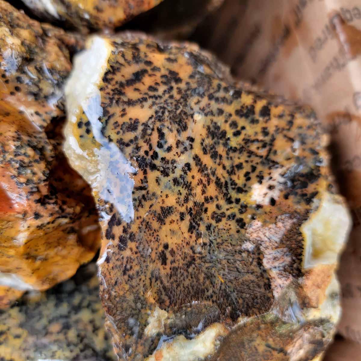 RARE Cheetah Agate Lapidary Cutting Rough Flatrate! - Lapidary Central