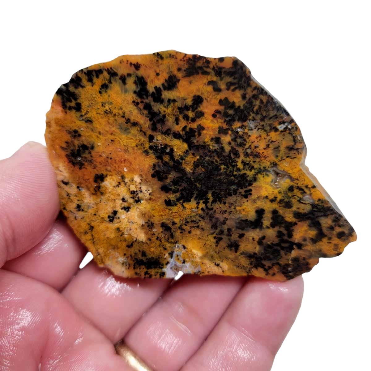 Brazilian Cheetah Stone Slab! Lapidary Stone Slab! Apatite Mine Agate! - Lapidary Central