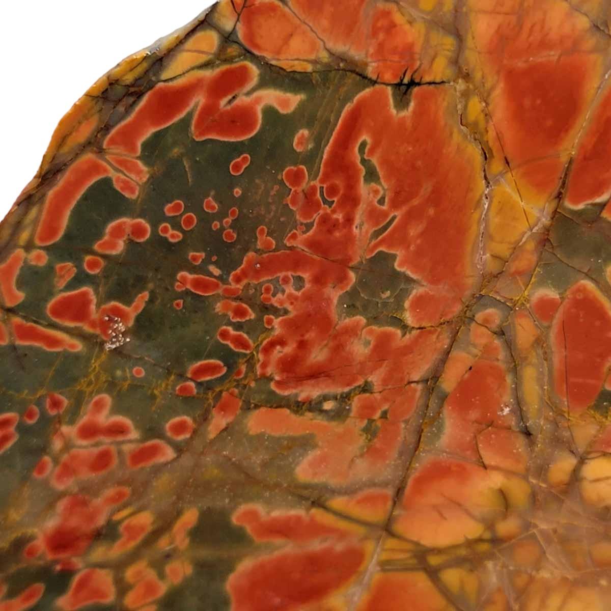 Cherry Creek Jasper Slab! Lapidary Stone Slab! - Lapidary Central