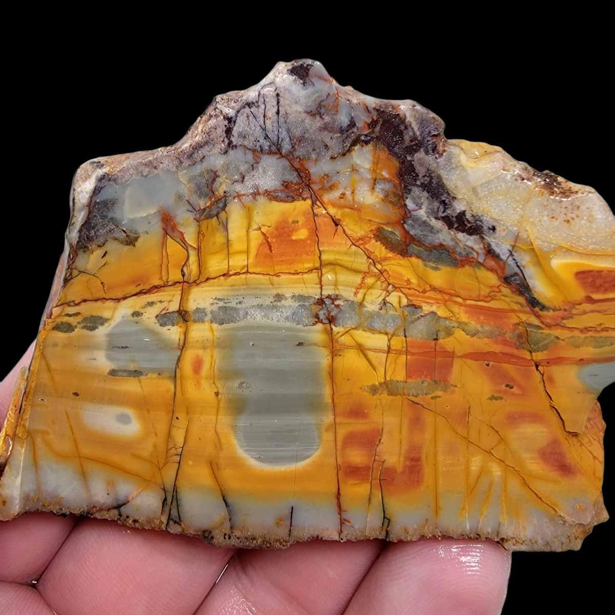 Cherry Creek Jasper Slab! Lapidary Stone Slab! - LapidaryCentral