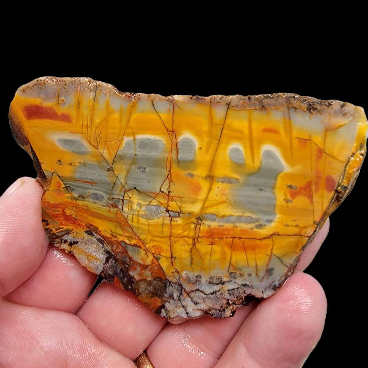 Cherry Creek Jasper Slab! Lapidary Stone Slab! - LapidaryCentral