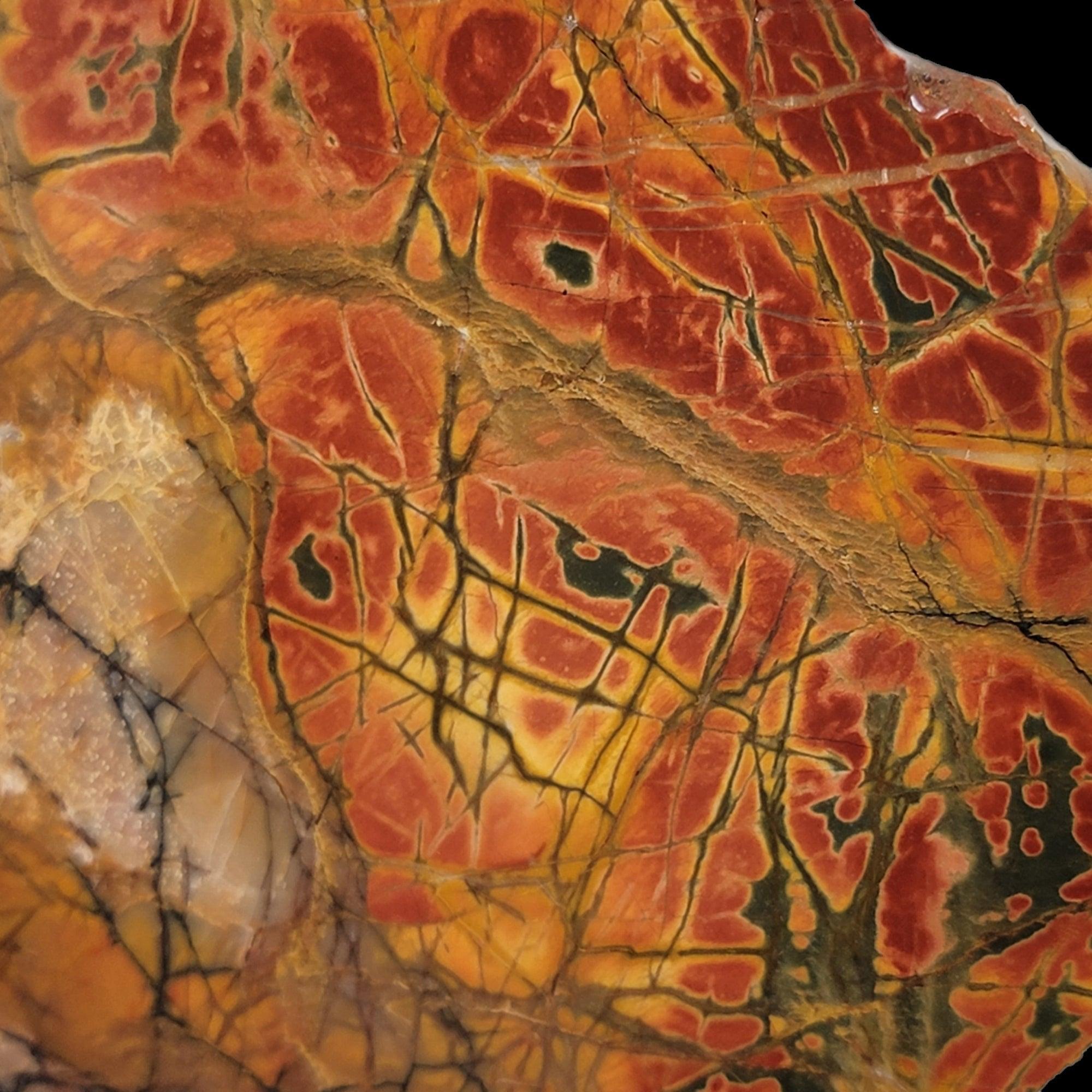 Cherry Creek Jasper Slab! Lapidary Stone Slab! - LapidaryCentral