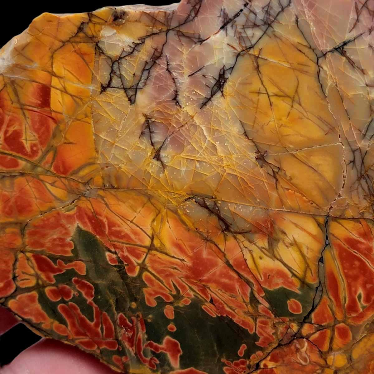 Cherry Creek Jasper Slab! Lapidary Stone Slab! - LapidaryCentral