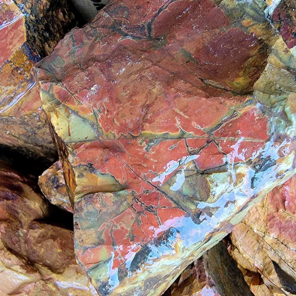 Cherry Creek Jasper Tumbling-Trimmer-Cutter Rough Box! - LapidaryCentral