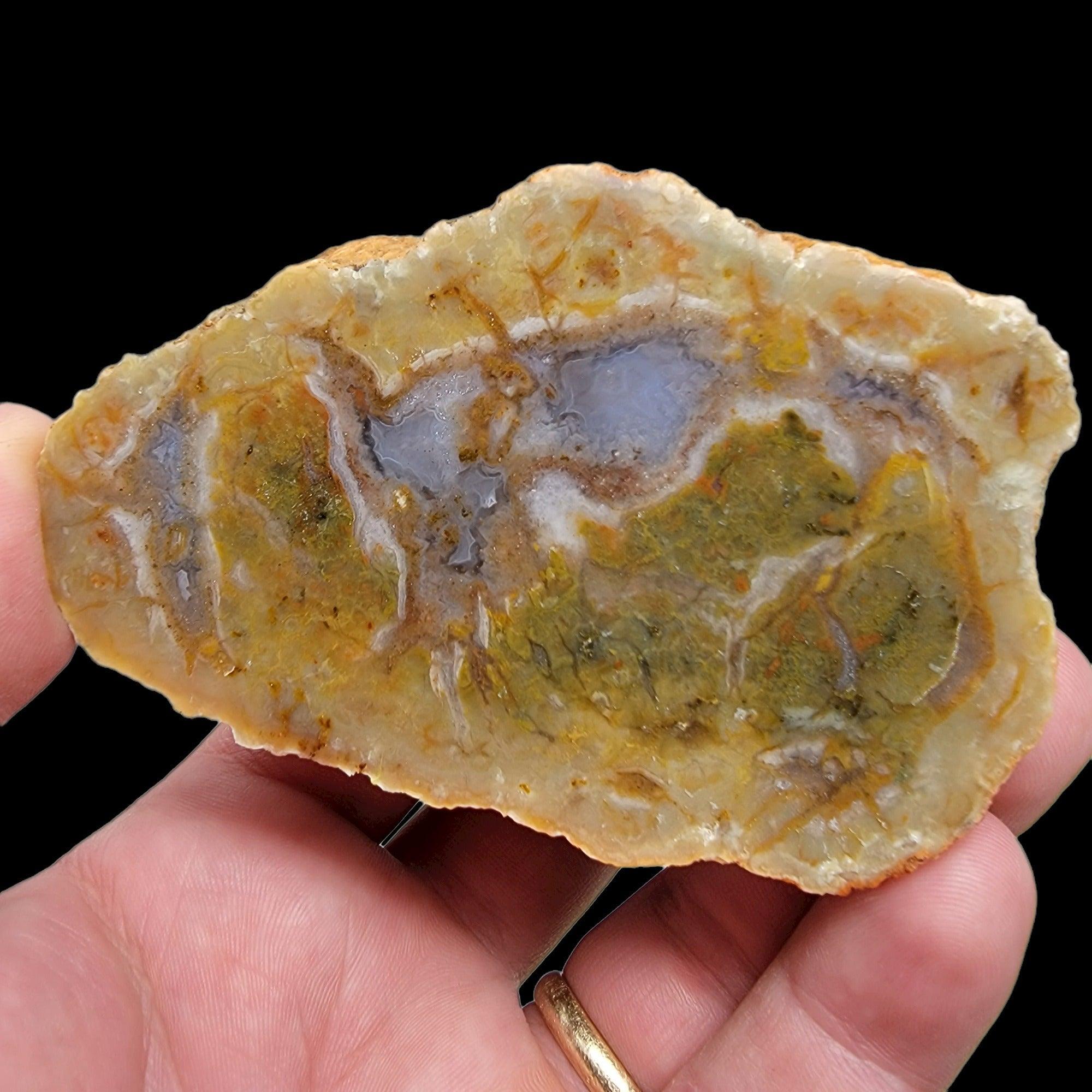 Polished Coprolite Fossil Dino Poo Display Specimen Hand Polished #R007-Photo1