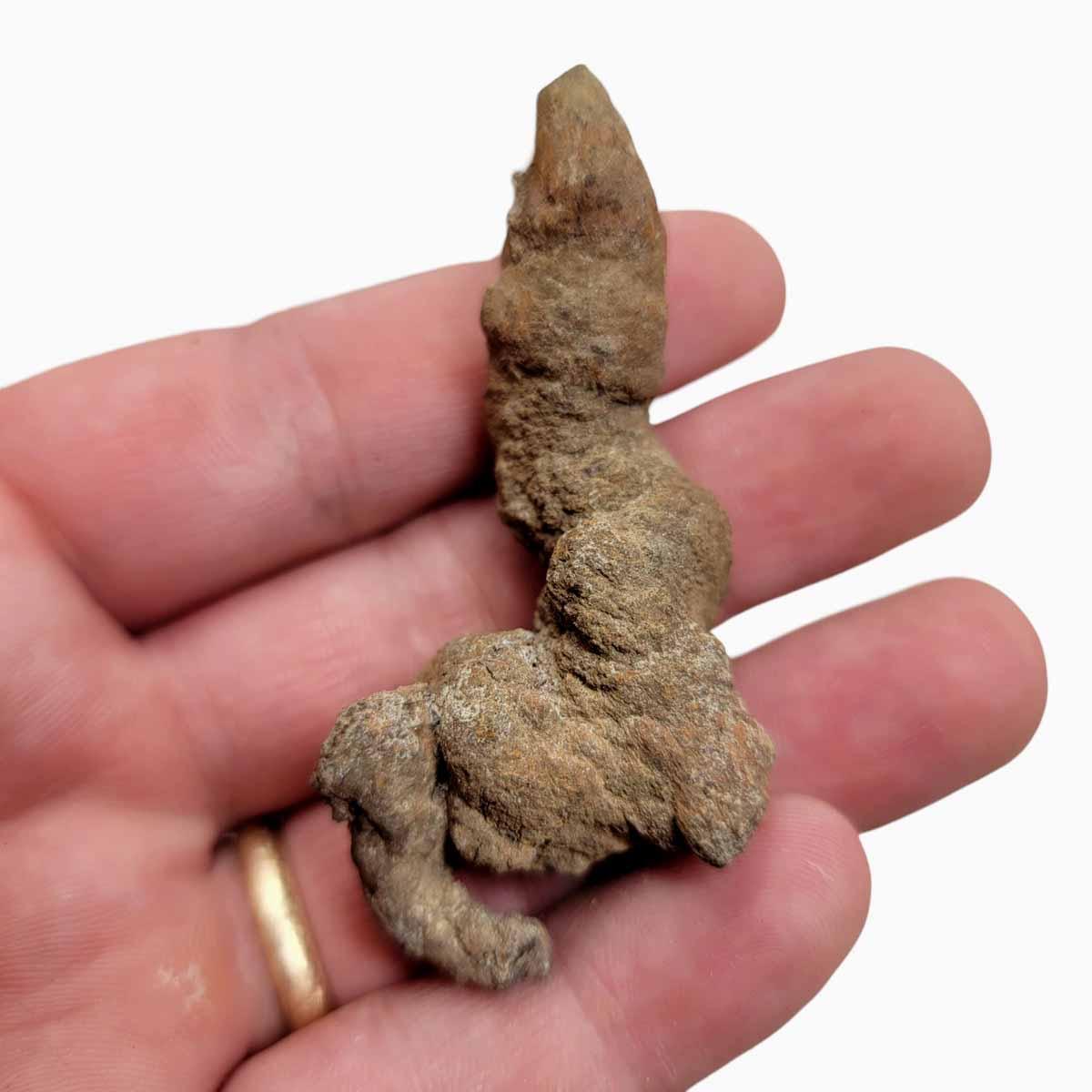Fossil Madagascar Coprolite Turtle Poo Specimen Preserved! #R214-Photo1