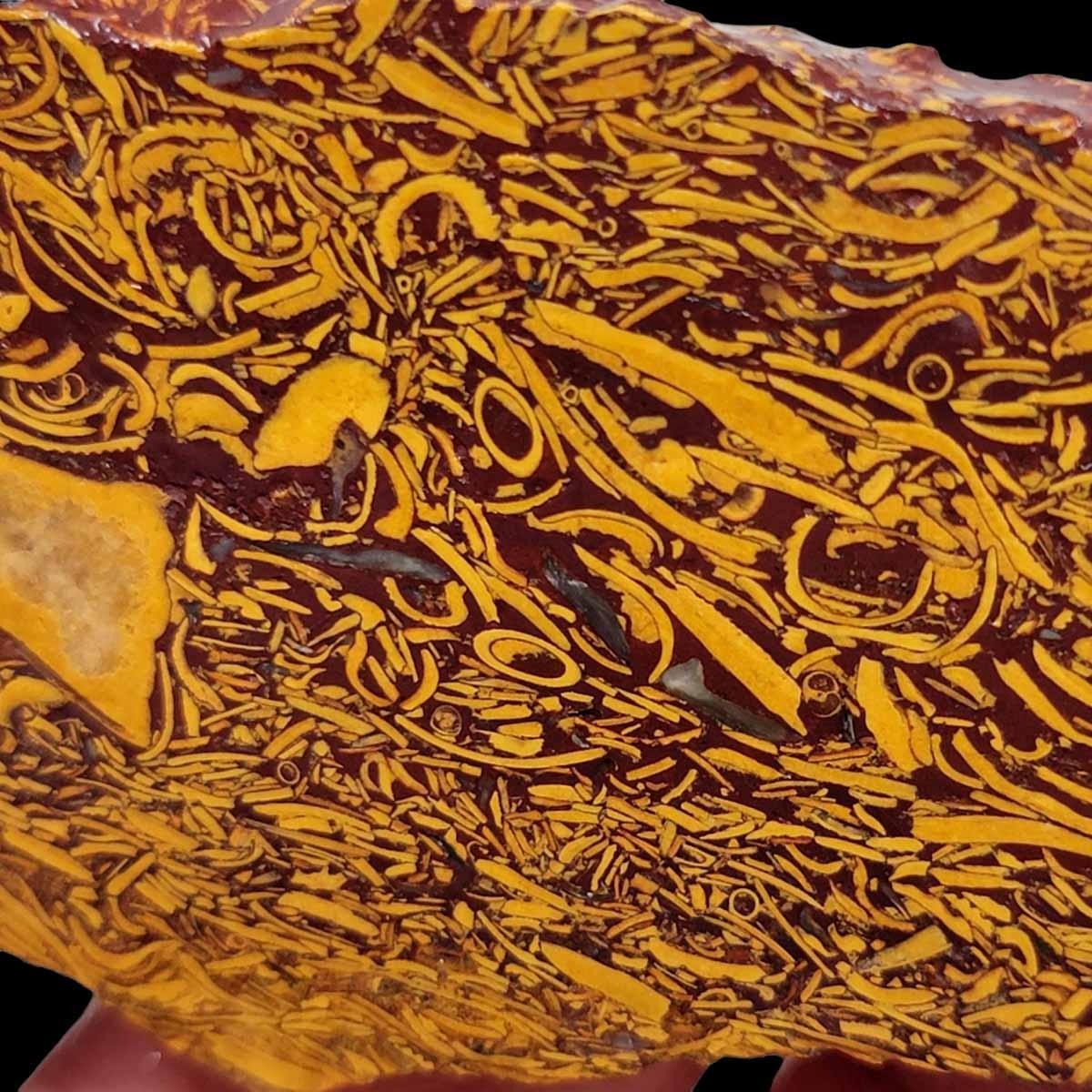 Fossil Script Stone Slab! Lapidary Stone Slab! - LapidaryCentral