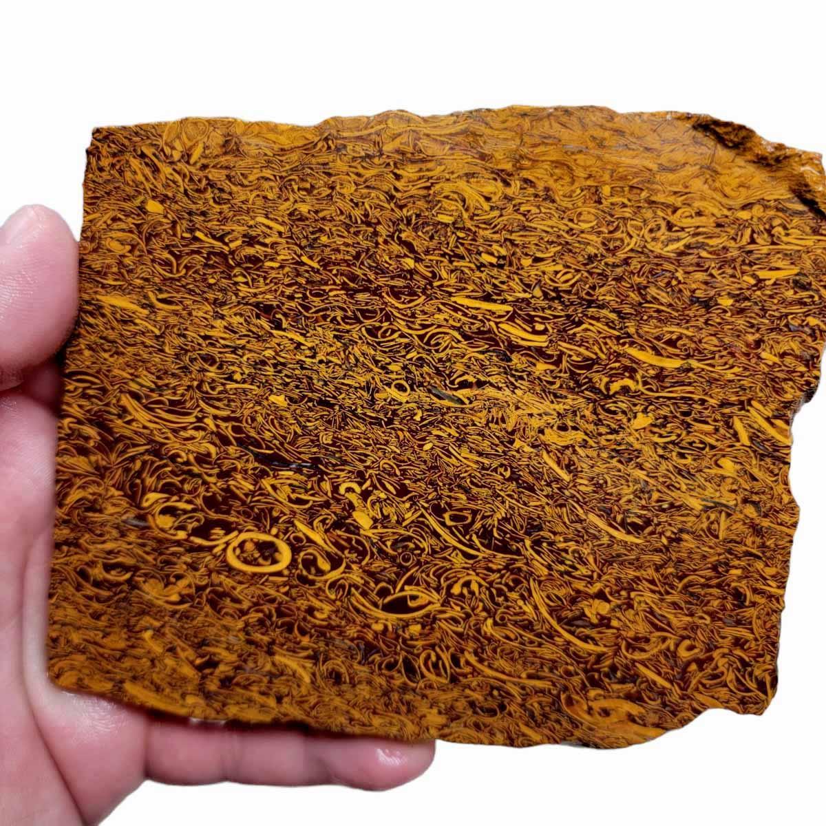 Fossil Script Stone Slab – Orange Coquina Jasper Fossil Patterns! #2617-Photo1