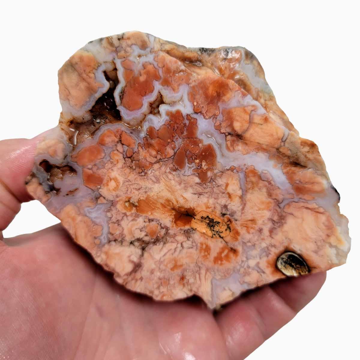 Cotton Candy Agate Cut Rough Chunk! - LapidaryCentral