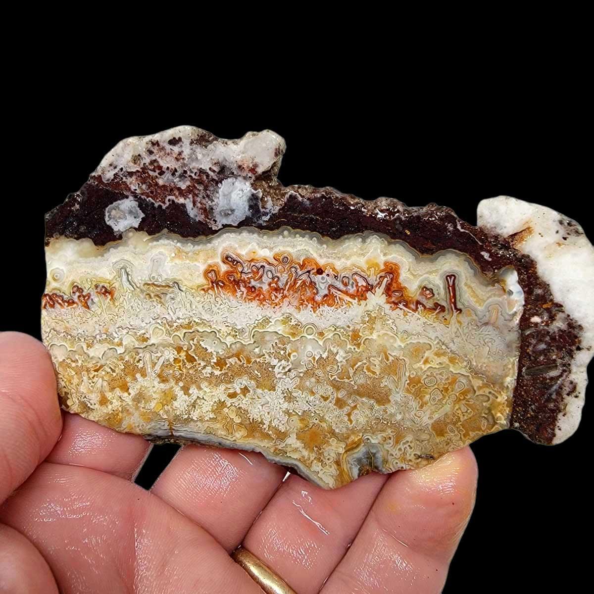 Crazy Lace Agate Slab! Lapidary Stone Slab! - LapidaryCentral