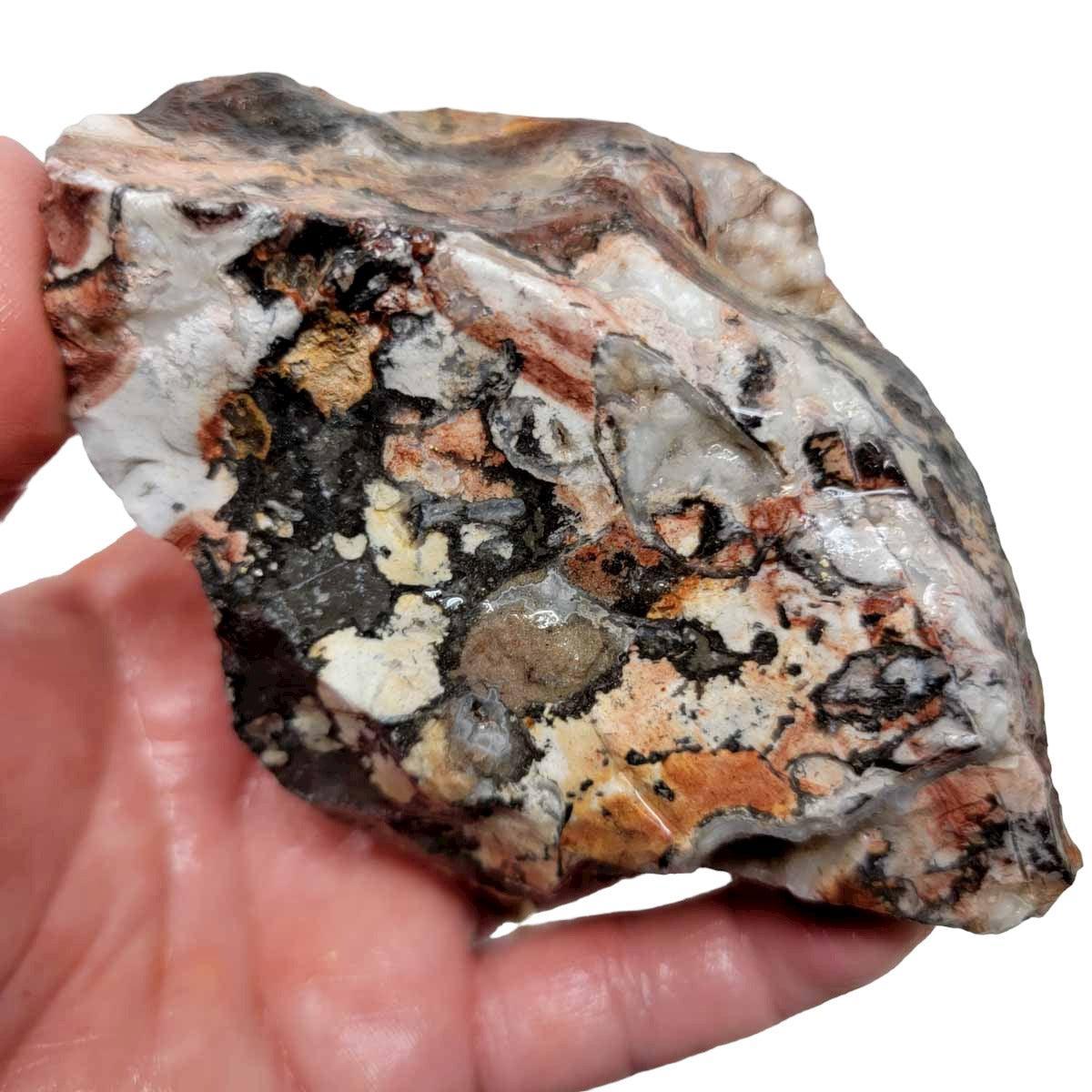 Unique Crazy Lace Agate Rough Chunk! - LapidaryCentral