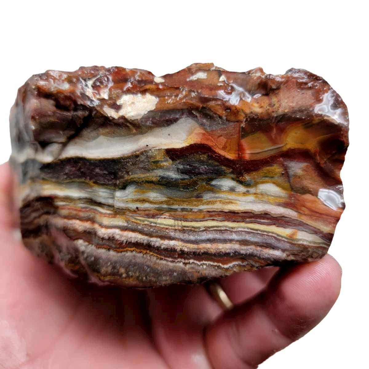 Sarape Jasper Crazy Lace Relative Rough Chunk! - LapidaryCentral