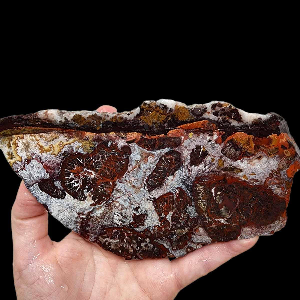 Crazy Lace Agate Slab! Lapidary Stone Slab!