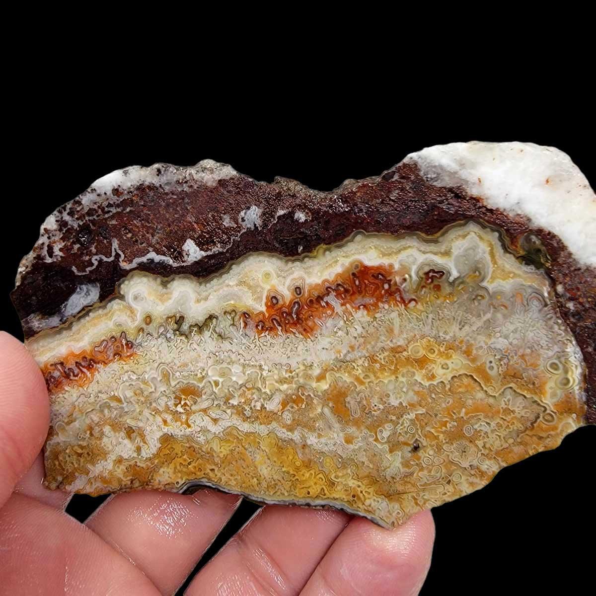 Crazy Lace Agate Slab! Lapidary Stone Slab! - LapidaryCentral