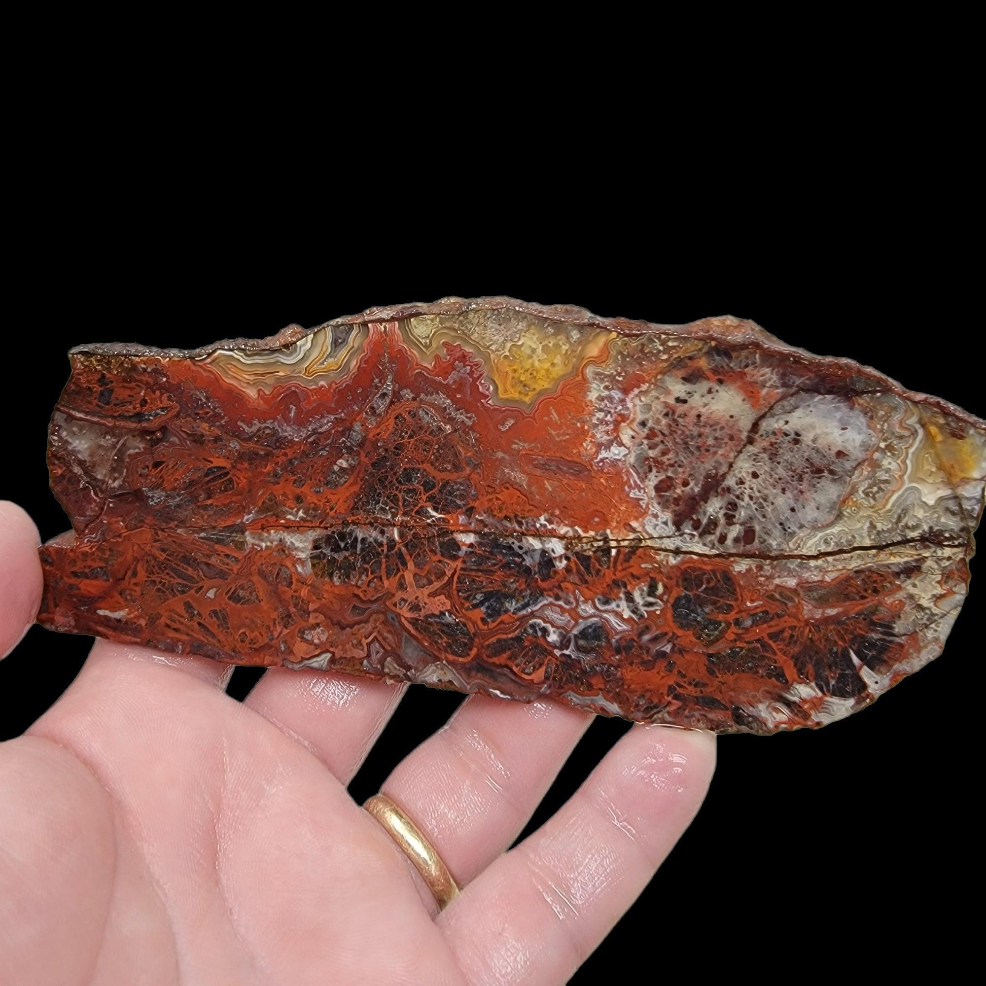 Crazy Lace Agate Slab! Lapidary Stone Slab! - LapidaryCentral