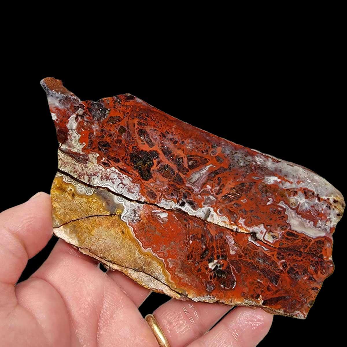 Crazy Lace Agate Slab! Lapidary Stone Slab! - LapidaryCentral