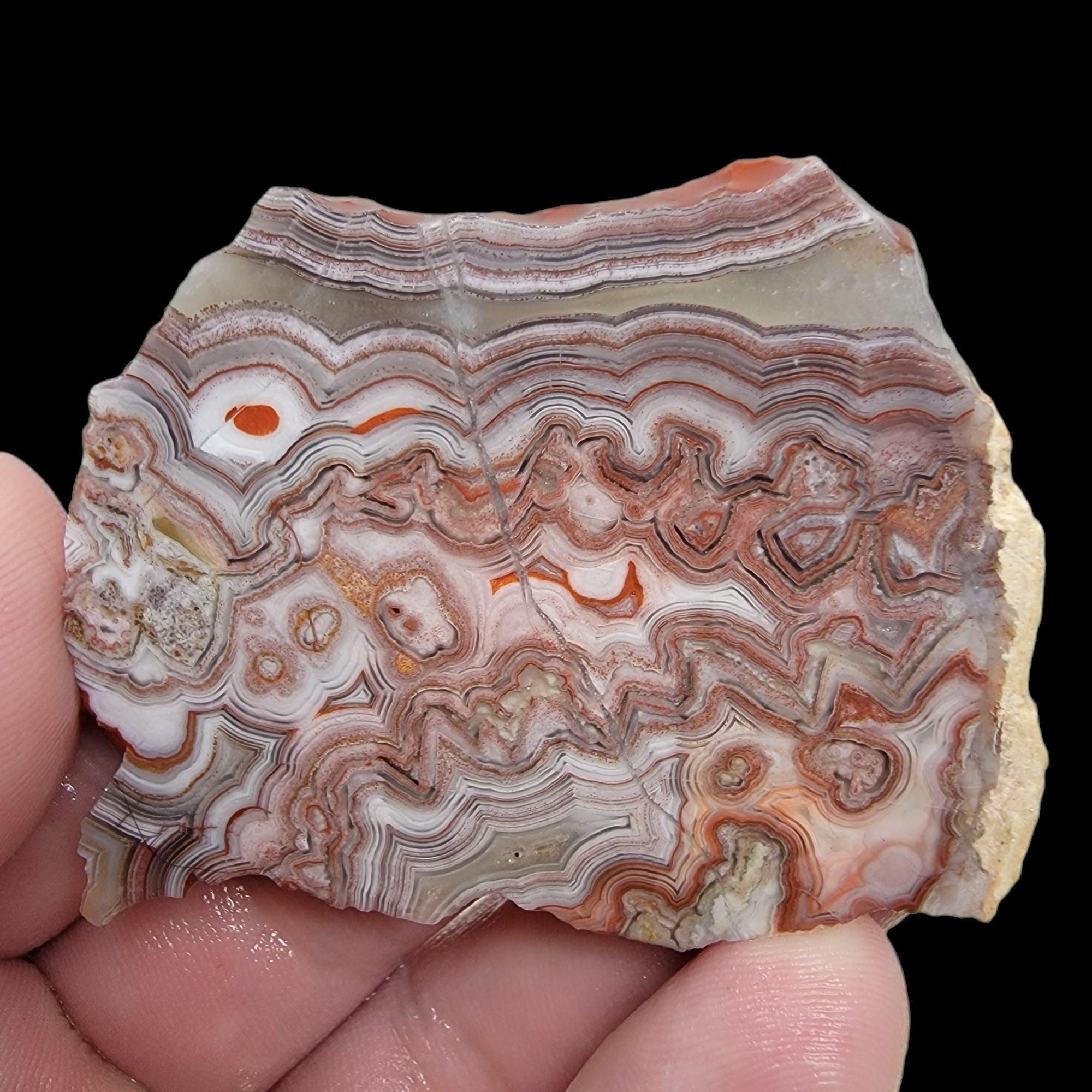 Crazy Lace Agate Slab! Lapidary Stone Slab! - LapidaryCentral