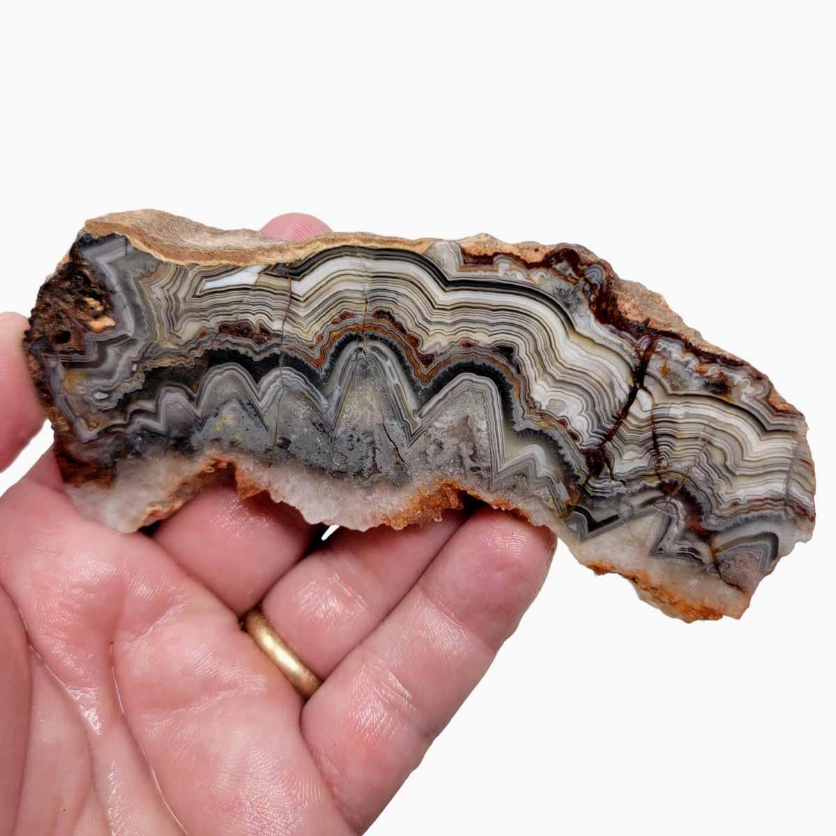 Old Vein Crazy Lace Agate Slab! Lapidary Stone Slab! - LapidaryCentral