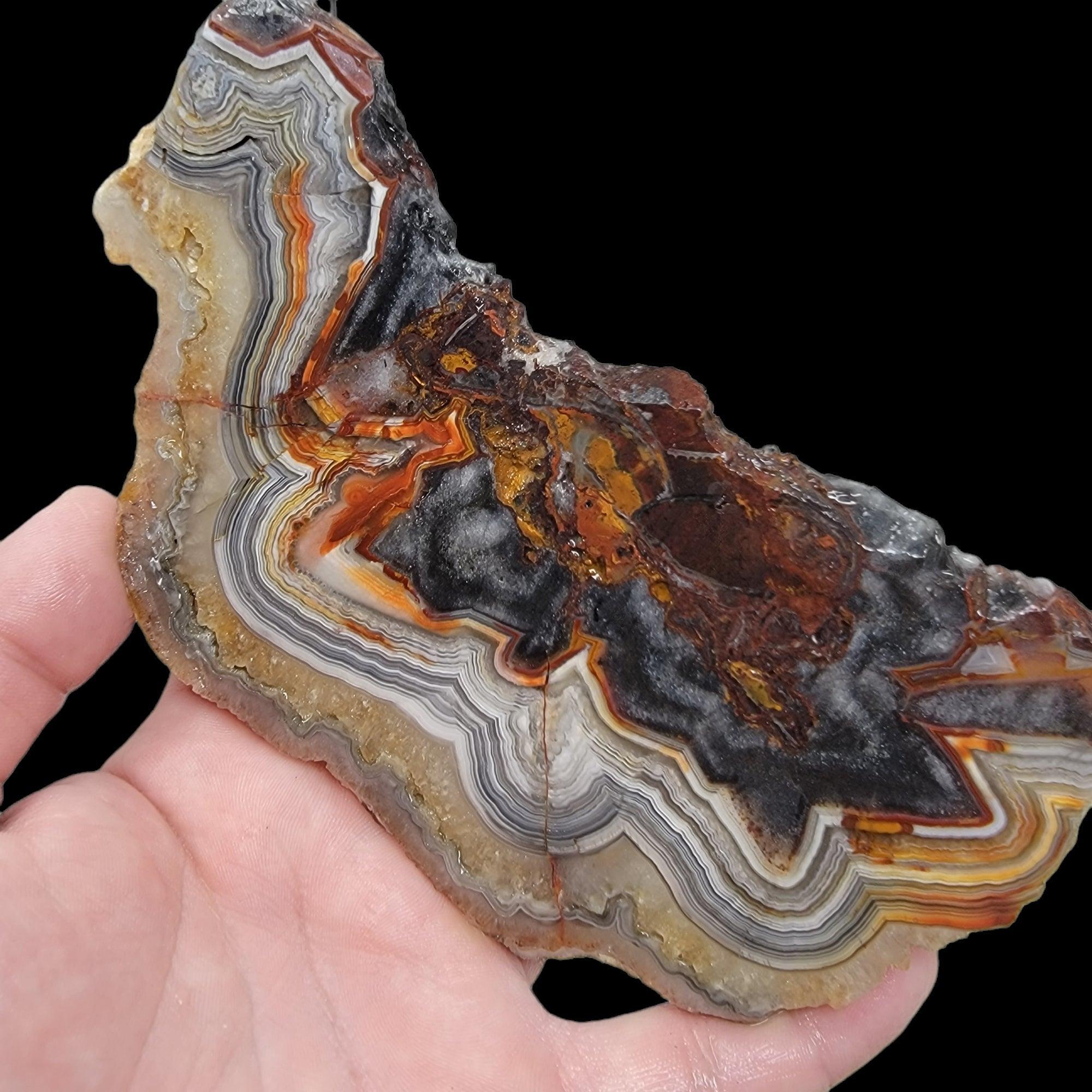 Old Vein Crazy Lace Agate Slab! Lapidary Stone Slab! - LapidaryCentral
