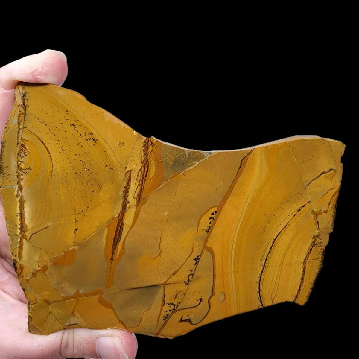 Owyhee Picture Jasper Slab!  Lapidary Stone Slab! - LapidaryCentral