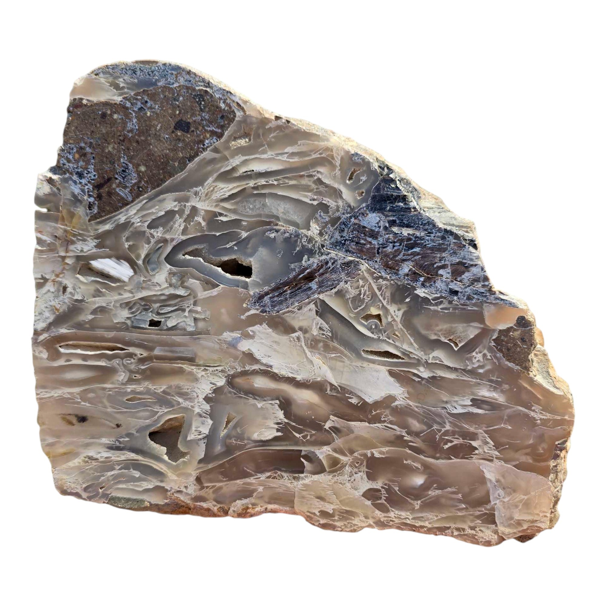 # ALT Text for Product Images