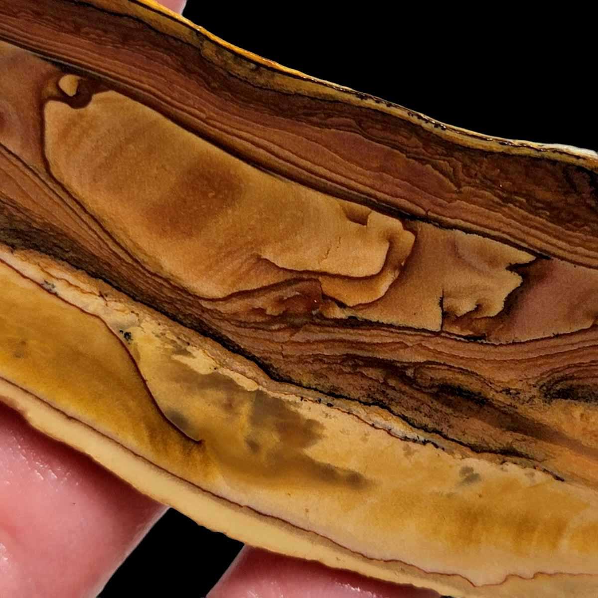 Deschutes Opal Picture Jasper Slab! Lapidary Stone Slab! - LapidaryCentral