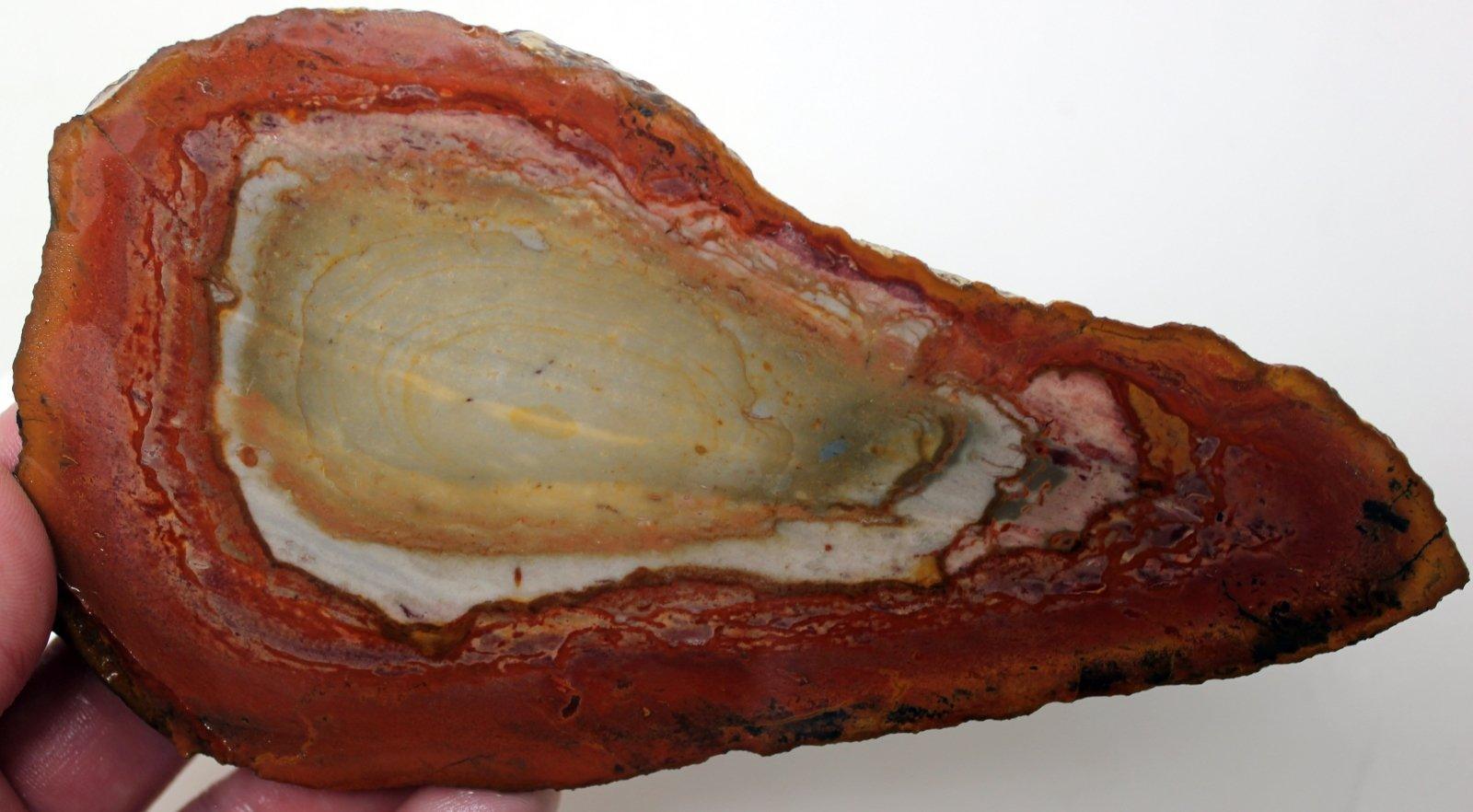 Polychrome Jasper Lapidary Stone Slab! Desert Jasper Slab! - LapidaryCentral